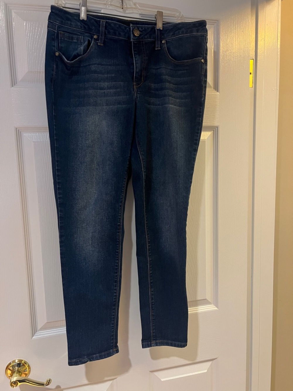 1822 “Adrianna” Denim Women's Dark Indigo Skinny Jeans